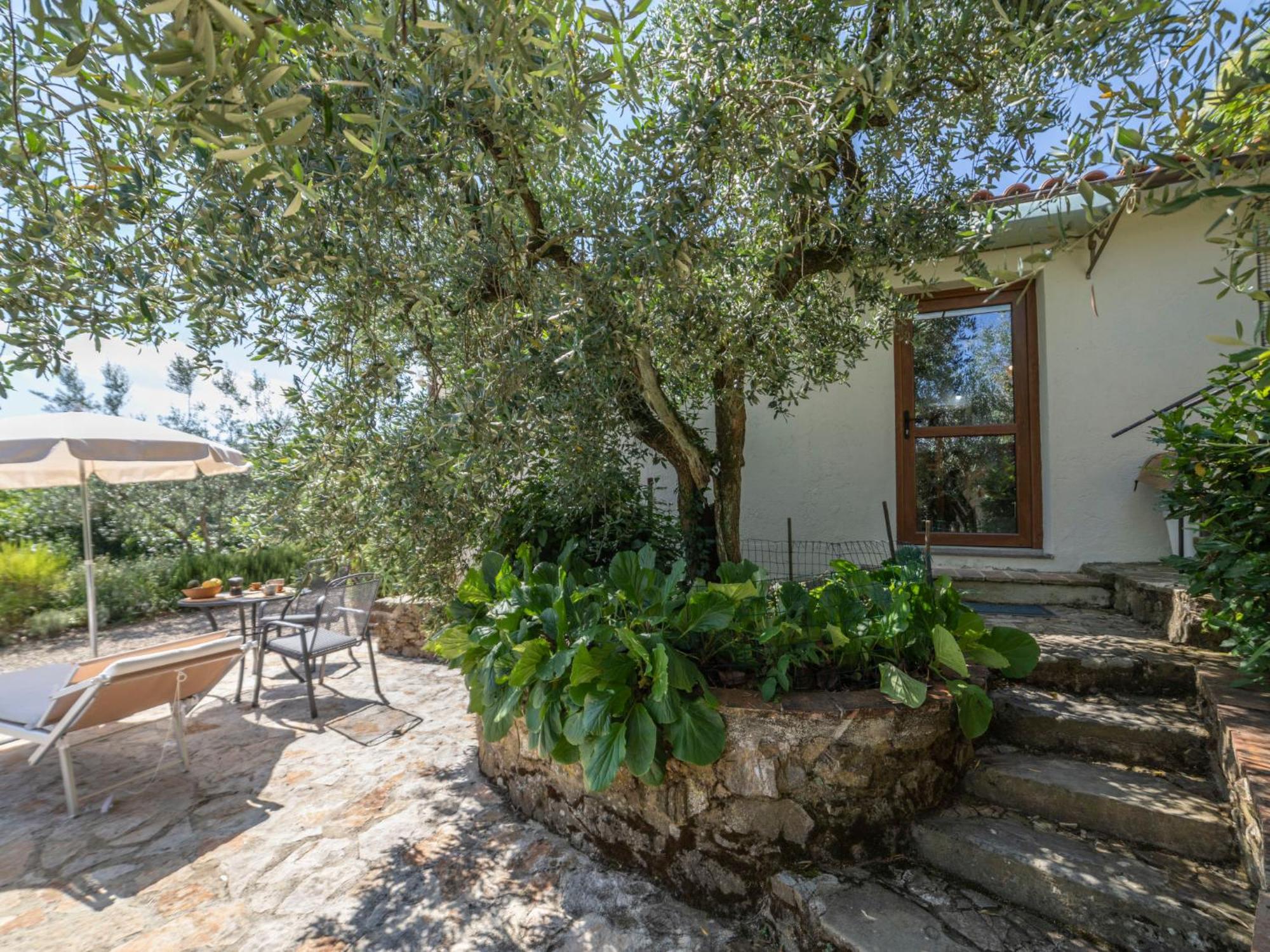 Holiday Home Olivo By Interhome Castellina in Chianti Extérieur photo